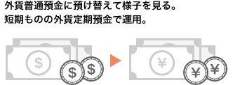 外貨普通預金に預け替えて様子を見る。短期ものの外貨定期預金で運用。